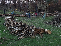 Pic-02 - Fire relief - many hands make light work